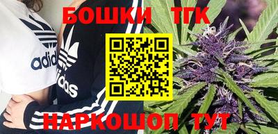 spice Обнинск