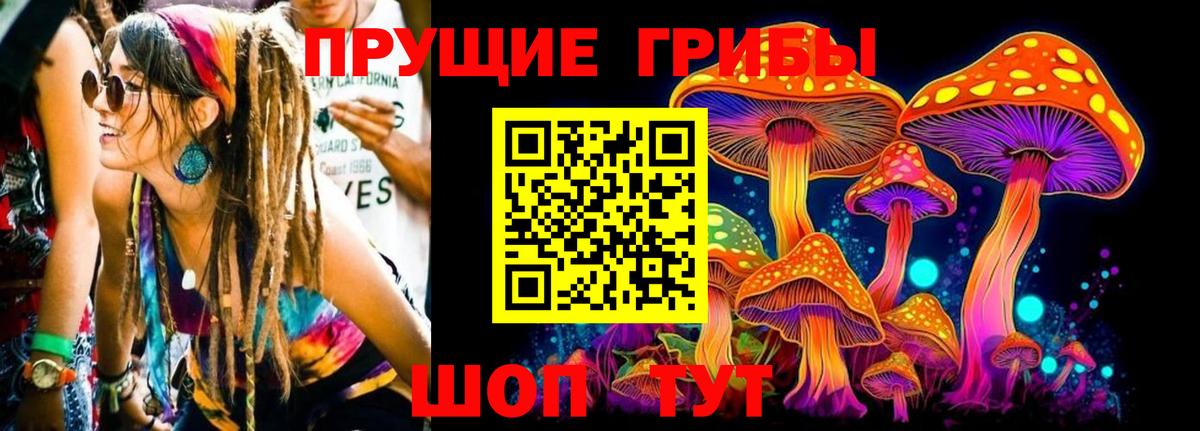 Тобольск  Псилоцибиновые грибы мицелий  Вход с VPN  Галлюциногенные грибы мухоморы 